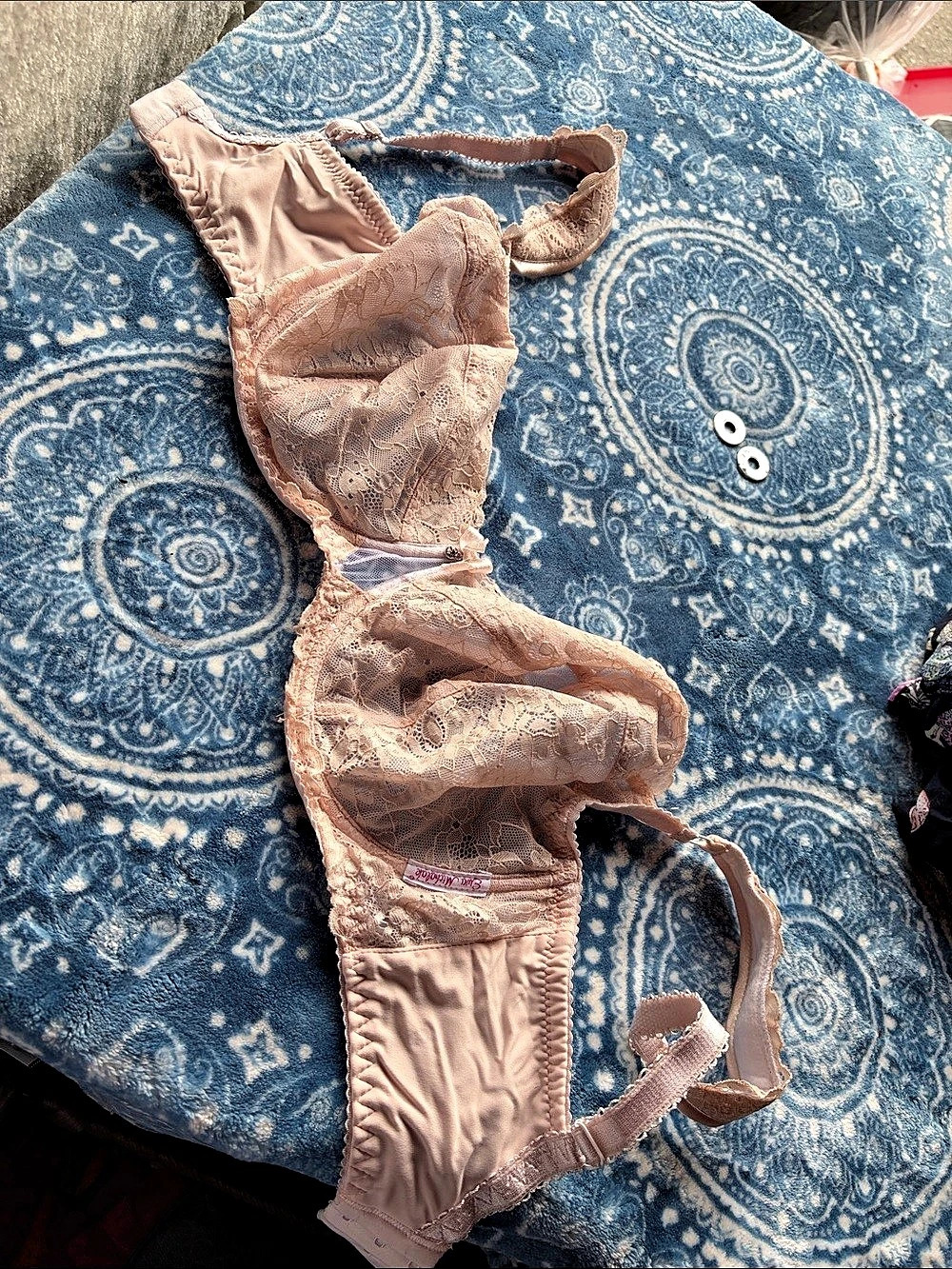 Eva Michilak Lace Bra in Pink Size 70